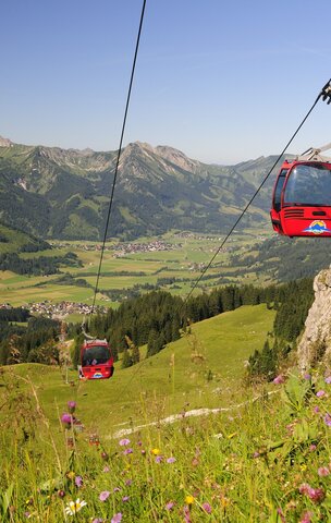 Rote Seilbahn vor Berglandschaft mit grünen Wiesen und blauem Himmel