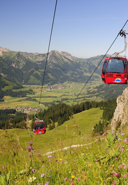 Rote Seilbahn vor Berglandschaft mit grünen Wiesen und blauem Himmel