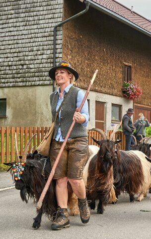Frau in Tracht führt Ziegenherde mit Stock durch Dorf, Almabtrieb