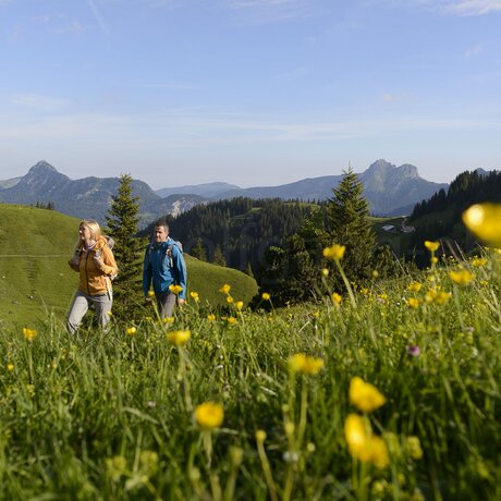 Wanderer in grüner Landschaft mit gelben Blumen und Bergen im Hintergrund
