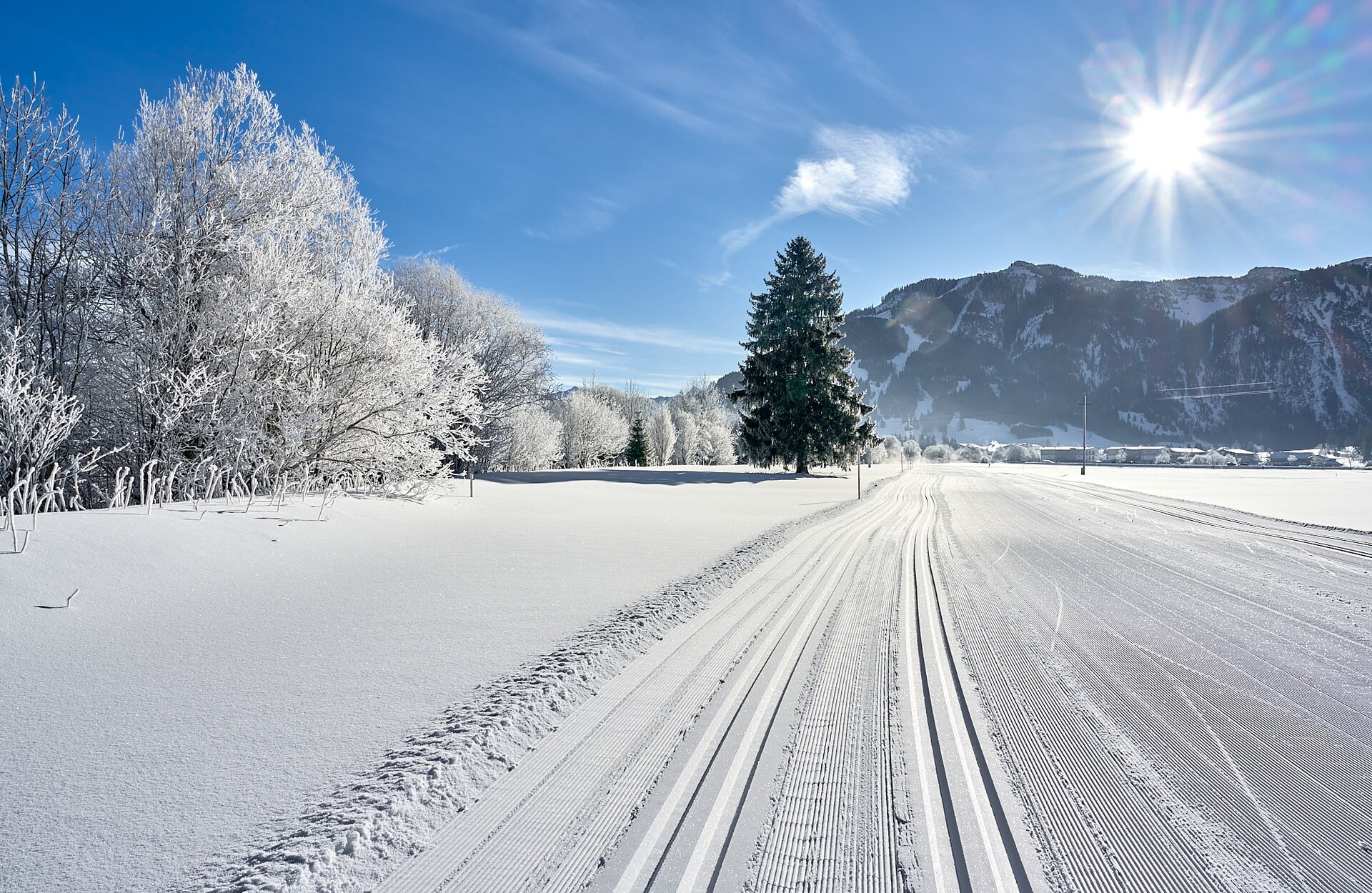 Winterlandschaft mit Loipen, Bäumen und Bergen unter blauem Himmel