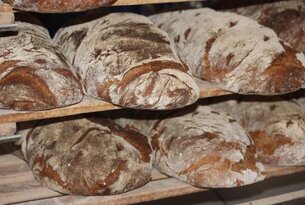 Brotlaibe mit Mehlstaub auf Holzregalen