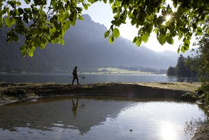 Angler am Seeufer vor Bergkulisse unter Blätterdach