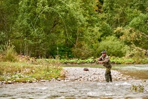 Mann beim Fliegenfischen im Fluss vor bewaldetem Ufer