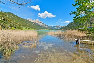 Bergsee mit Schilf im Vordergrund, bewaldete Berge und blauer Himmel mit Wolken im Hintergrund