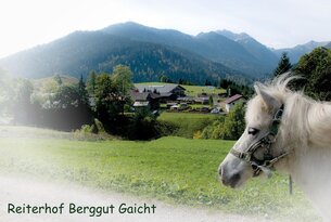 Ponykopf vor Berglandschaft mit Häusern und grüner Wiese