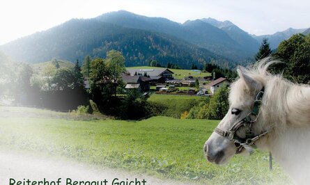 Ponykopf vor Berglandschaft mit Häusern und grüner Wiese