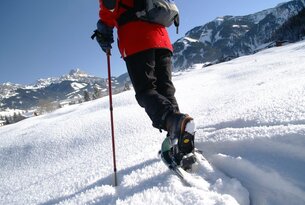 Person mit Schneeschuhen und Wanderstock im Schnee vor Bergkulisse