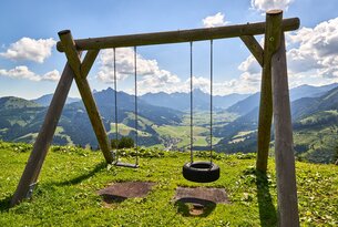 Schaukel mit Reifen und Brett vor Berglandschaft auf grüner Wiese