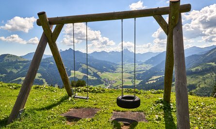 Schaukel mit Reifen und Brett vor Berglandschaft auf grüner Wiese