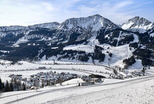 Verschneite Berglandschaft mit Dorf im Tal und bewaldeten Hängen