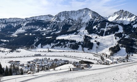 Verschneite Berglandschaft mit Dorf im Tal und bewaldeten Hängen