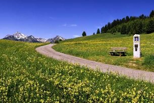 Weg durch blühende Wiese, Bank am Wegesrand, Berge im Hintergrund