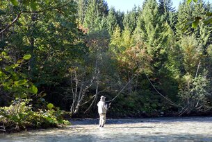 Angler steht im Fluss vor dichtem Wald und wirft Angel aus