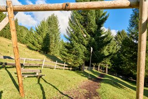 Zipline-Parcours in grüner Landschaft mit Bäumen, Zaun und Bank unter blauem Himmel