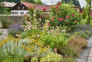Blühender Garten mit Rosen, Lavendel und anderen Blumen vor einem Haus