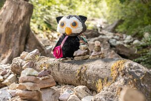 Stofftier-Eule mit rosa Tasche sitzt auf Baumstamm neben Steintürmchen im Wald