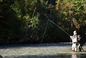 Fliegenfischer steht im Fluss und wirft die Angel vor bewaldeter Kulisse