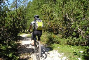 Mountainbiker fährt auf Schotterweg durch Wald