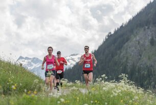 Drei Läufer beim Berglauf vor Alpenkulisse