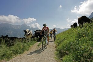 Cyclist on gravel road with cows and mountain panorama