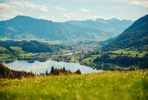 Berglandschaft mit See, Wiesen und einer Stadt im Tal