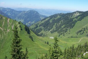 Grüne Hügel und Berge mit Bäumen unter blauem Himmel