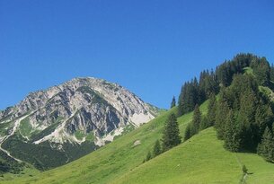 Grüner Berghang mit Bäumen und schneebedecktem Gipfel unter blauem Himmel