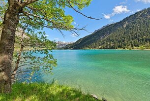 Türkisblauer See vor bewaldeten Bergen unter blauem Himmel mit Ästen im Vordergrund