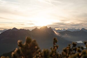 Sonnenaufgang über Bergkette mit Wolken und Pflanzen im Vordergrund