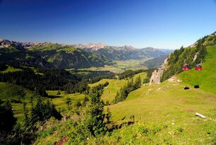 Grüne Hügellandschaft mit Bäumen und Bergen unter blauem Himmel