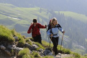 Wanderer mit Stöcken steigen einen grünen Berghang hinauf