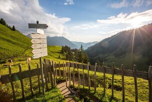 Wanderwegweiser auf grüner Bergwiese mit Holzzaun und Blick auf bewaldete Berge unter blauem Himmel