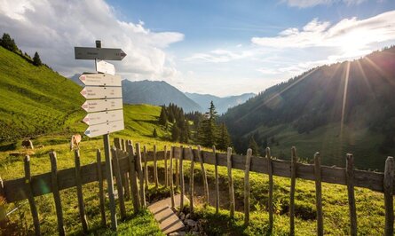 Wanderwegweiser auf grüner Bergwiese mit Holzzaun und Blick auf bewaldete Berge unter blauem Himmel