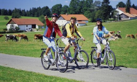 Drei Radfahrer mit Helmen auf Landstraße, Kühe auf Wiese im Hintergrund