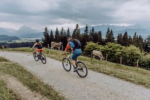 Zwei Personen fahren Mountainbike auf einem Schotterweg, Kühe im Hintergrund, bewaldete Berge am Horizont