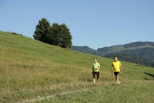 Wanderndes Paar auf grüner Wiese mit Stöcken vor Bergkulisse