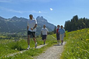 Gruppe beim Nordic Walking in den Bergen