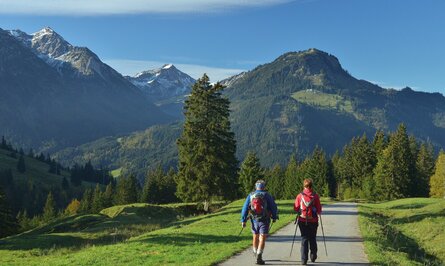 Wanderer auf Weg in Berglandschaft mit schneebedeckten Gipfeln