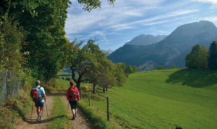 Wanderer auf Pfad in grüner Landschaft mit Bergen im Hintergrund