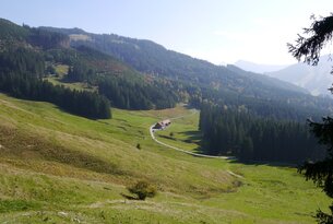 Hügelige Landschaft mit Wiesen, Wald und einem Gebäude mit Weg