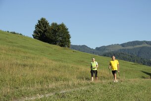 Zwei Personen wandern mit Stöcken auf einer grünen Wiese bergauf