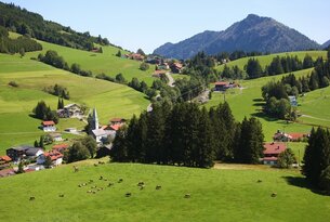 Grüne Hügellandschaft mit Dorf, Kirche und Kühen auf einer Wiese vor Bergkulisse