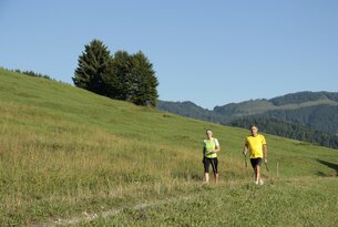 Frau und Mann beim Nordic Walking auf grüner Wiese unter blauem Himmel