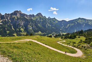 Berglandschaft mit gewundenem Pfad, grünen Wiesen und bewaldeten Hängen unter blauem Himmel