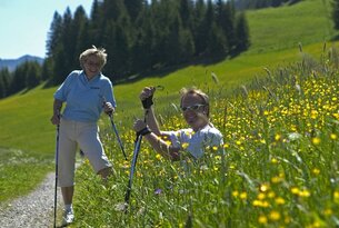 Frau und Mann beim Nordic Walking auf einer Wiese mit gelben Blumen