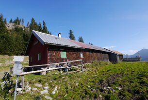 Hut on a green meadow against a blue sky with trees in the background