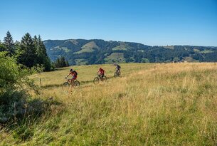 Drei Mountainbiker fahren über eine Wiese vor einer Berglandschaft
