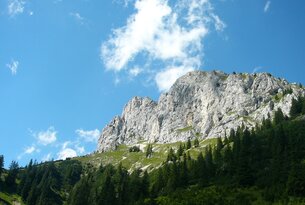 Berglandschaft mit Felsen, grünen Wiesen und Bäumen unter blauem Himmel mit Wolken
