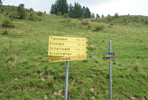 Gelbe Wanderwegweiser auf einer Wiese zeigen verschiedene Richtungen und Gehzeiten an